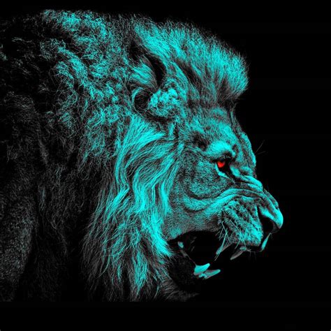 Lion Eyes Wallpaper Hd 1080p