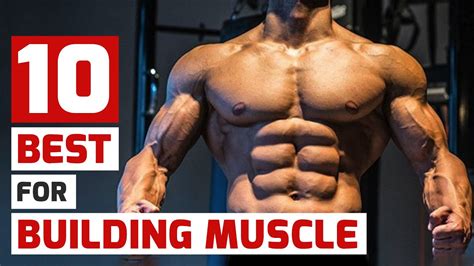 Top Trainers Agree, These Are the 10 Best Muscle-Building Exercises ...