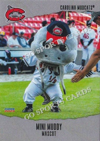 2023 Carolina Mudcats Mini Muddy Mascot – Go Sports Cards