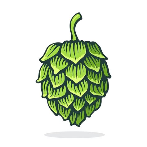 Premium Vector | Vector illustration Green cone of hop Symbol of beer ...