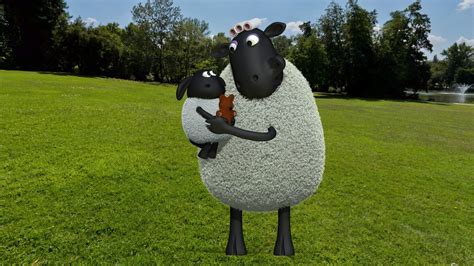 Shaun The Sheep Timmys Mom