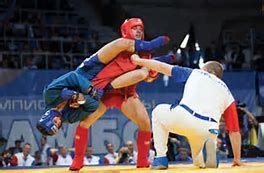 Pin on Sambo Martial Art