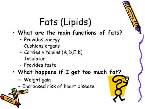 Functions of lipids. Homeschool Science, Heart Disease, Weight Gain ...