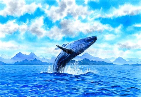 Watercolor Painting - Whale Breaching Stock Illustration - Illustration ...