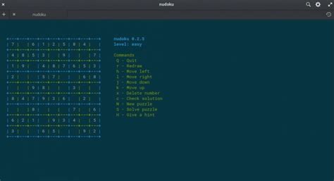 Best ASCII Games for Linux That are Insanely Good