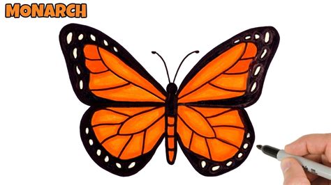 Cartoon Butterfly Drawing Easy - bmp-head