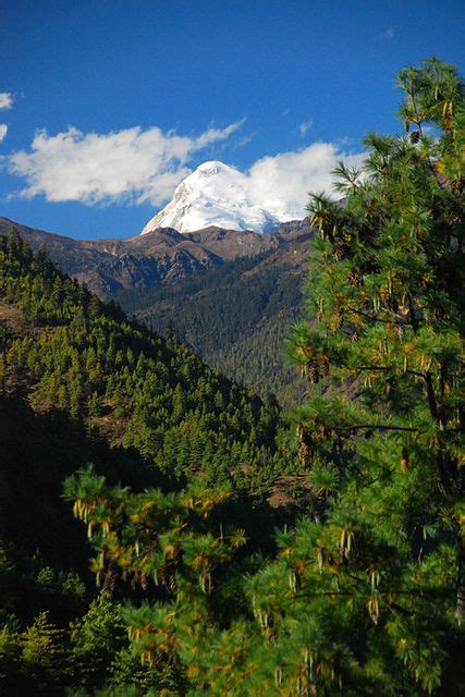 Bhutan | Bhutan, Nature, Nepal kathmandu