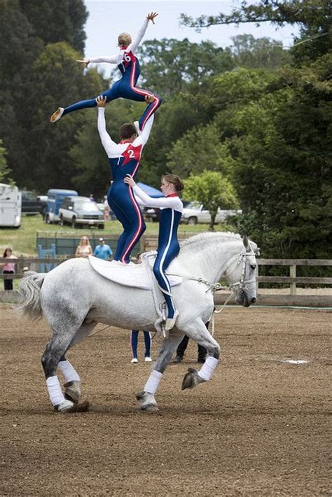 33 best images about Vaulting