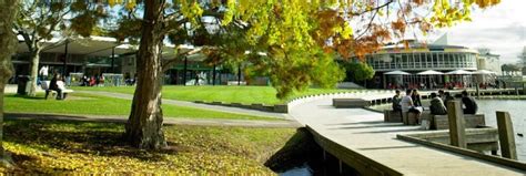 University of Waikato