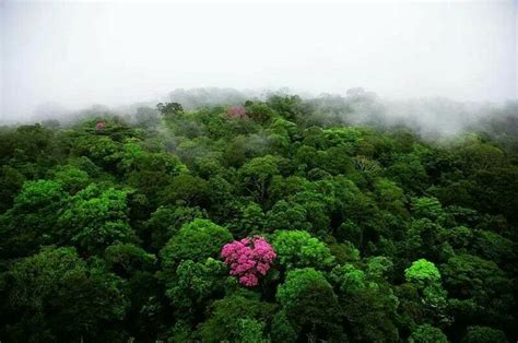 50 best images about * FRENCH GUIANA on Pinterest | Devil, The ...