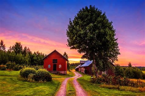 Sunset trees road home landscape rustic farm house wallpaper ...