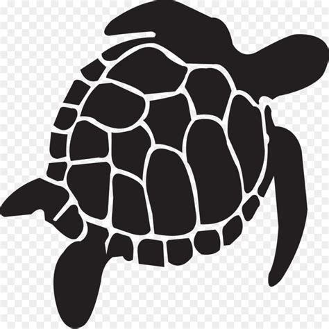 Sea turtle Clip art - Vector turtle material png download - 4213*1900 ...