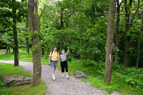 Virginia Hiking Trails - Blue Ridge Parkway (U.S. National Park Service)