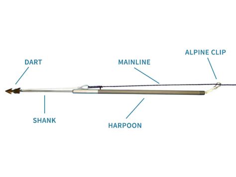 Stick It! How to Harpoon a Fish