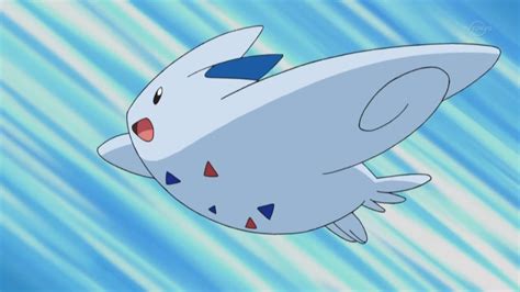 Dawn's Togekiss - The Pokémon Wiki