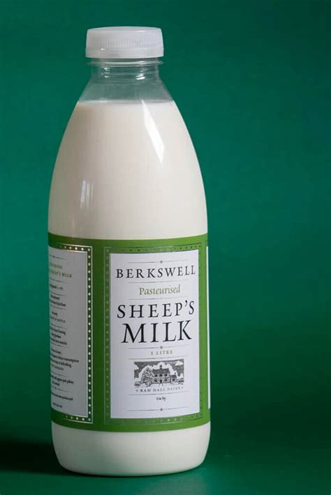 A new dawn for sheep’s milk? - Wicked Leeks