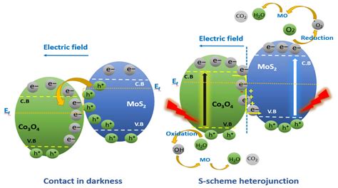 Catalysts | Free Full-Text | Photocatalytic Degradation of Methyl ...