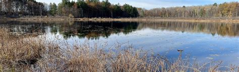 Iron Belle Trail at Loon Lake: 31 Reviews, Map - Michigan | AllTrails