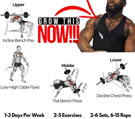 Bench Press Variations for a Bigger Chest | Guide & Tips