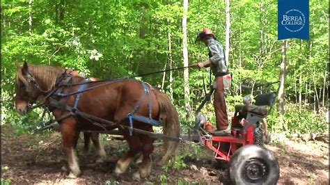 Horse Logging Explained by Jason Rutledge - YouTube