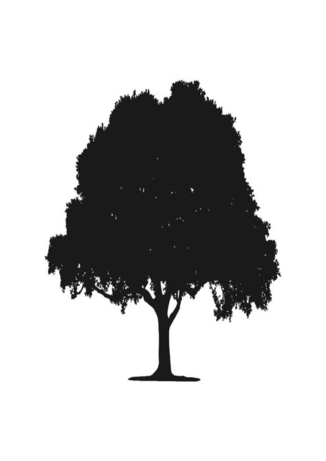 spruce tree silhouette, clipart image free svg file - SVG Heart