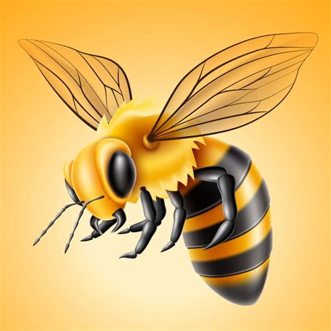 Abeja Dibujo Realista / Divertida imagen de un panal de abejas ideal ...