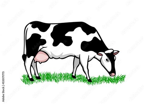 Vector cartoon black and white cow isolated on white background, Dairy ...