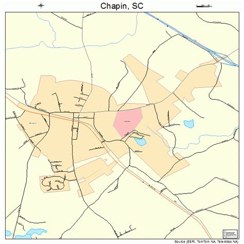 Chapin South Carolina Street Map 4513150