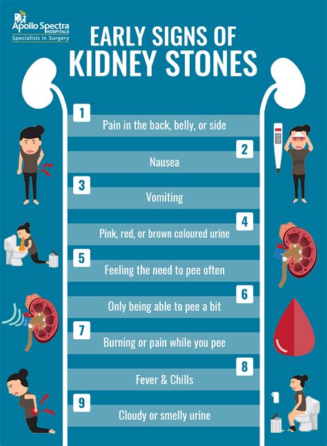 Identifying Early Signs of Kidney Stones: Precautions, & Treatment