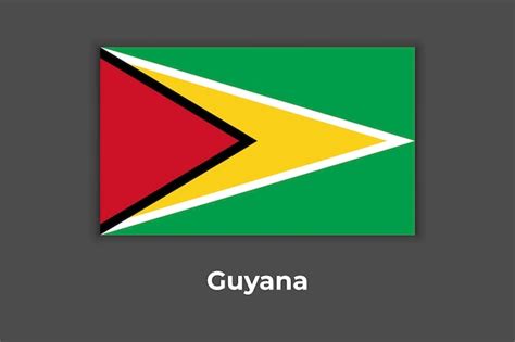 Premium Vector | Vector flag of guyana, national flag of guyana