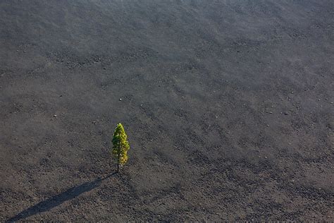 What is Volcanic Ash? - WorldAtlas