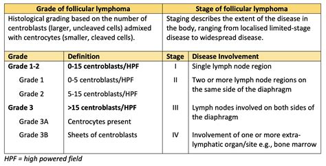 What's new in relapsed or refractory follicular lymphoma? - Medical ...