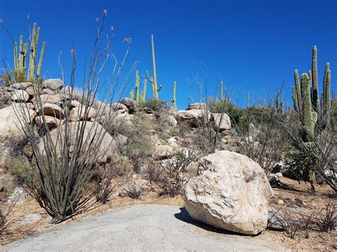 Catalina State Park - Go Wandering