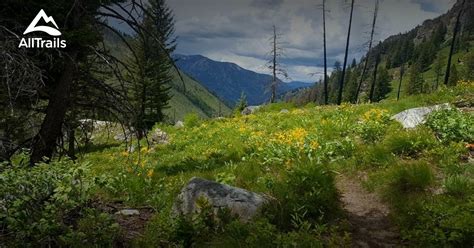 Best Trails near Lowman, Idaho | AllTrails