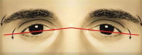 Do I Have Hunter Eyes? A Comprehensive Guide to Understanding Your Eye ...