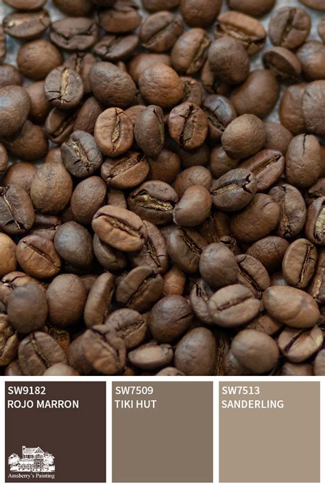 Coffee Color Palette Collection - Amsberry's Painting