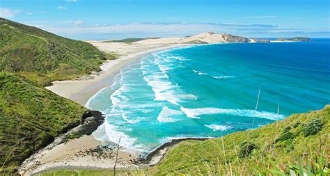 Best Beaches in New Zealand - Beach Tomato