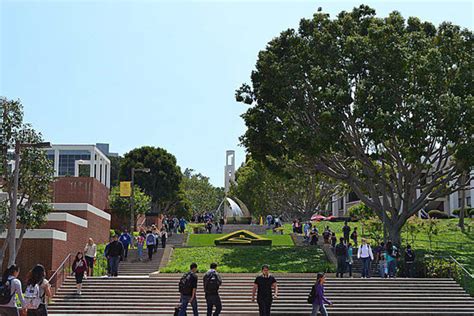 Nurses' Choice: The 7 Best Nursing Schools in California - NurseBuff