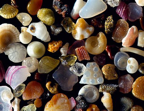 This is sand under a microscope! Think of the...