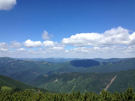 Forests of Maramures in Romania offer almost 30 mln EUR worth of ...