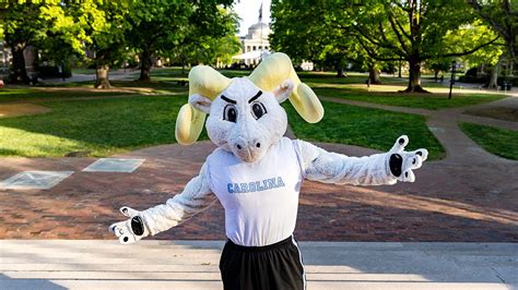 The story of Rameses | UNC-Chapel Hill