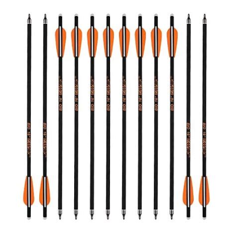 Top 10 Best Crossbow Bolts 2023 for Deer Hunting and Archery