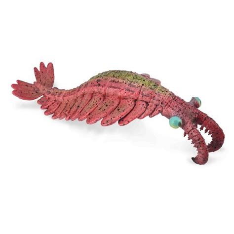 CollectA Anomalocaris | MiniZoo Extinct Models