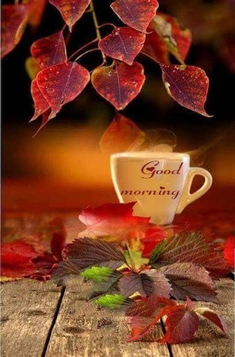 Autumn Morning Coffee Images