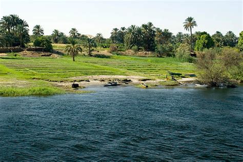 Nile River Agriculture Stock Photos, Pictures & Royalty-Free Images ...