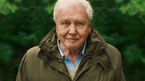 David Attenborough: A Life on Our Planet (2020) - Titlovi.com