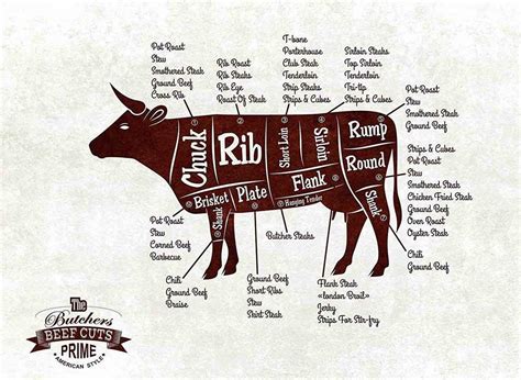 Chart Of Beef Cuts From A Cow