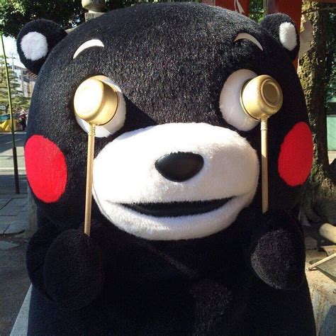 Pin on Kumamon & co