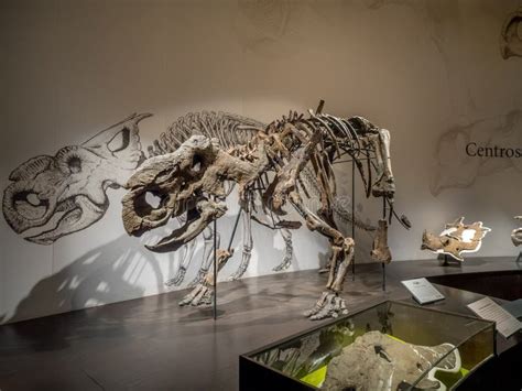 Dinosaur Exhibits at Royal Tyrrell Museum in Drumheller, Canada ...