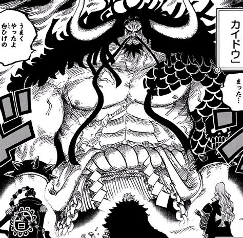 Kaido | One Piece Wiki | Fandom